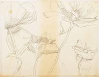 Alex Katz Floral Drawing - Sold for $2,375 on 02-06-2021 (Lot 481).jpg